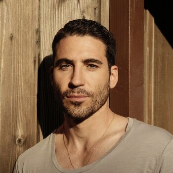 Miguel Ángel Silvestre Infobox