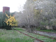 IMG 1219.jpg (2,27 MB) Estado de la estación en 2008.