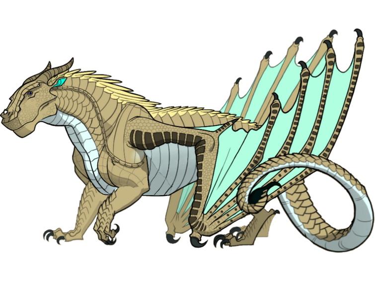 Fandom Image