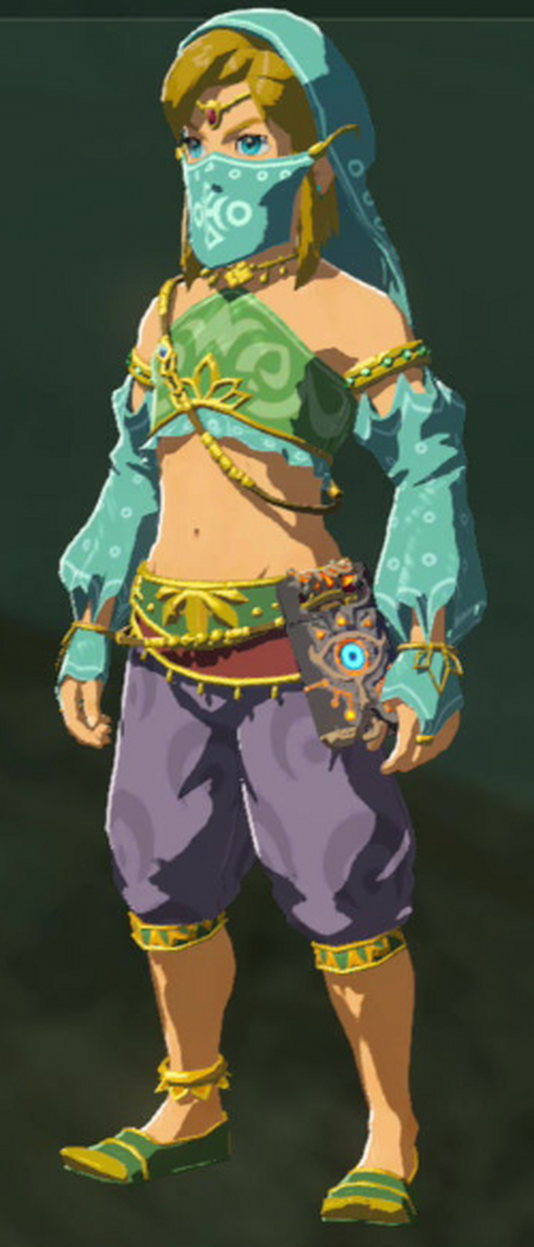 Zelda link to the past. Sonic zelda style. Легенда о зельде breath of the wild. Соник и зельда. Give link.