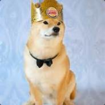 Galaxy Doge Case Clicker Roblox Wiki Fandom - galaxy doge case clicker roblox wiki fandom powered by wikia