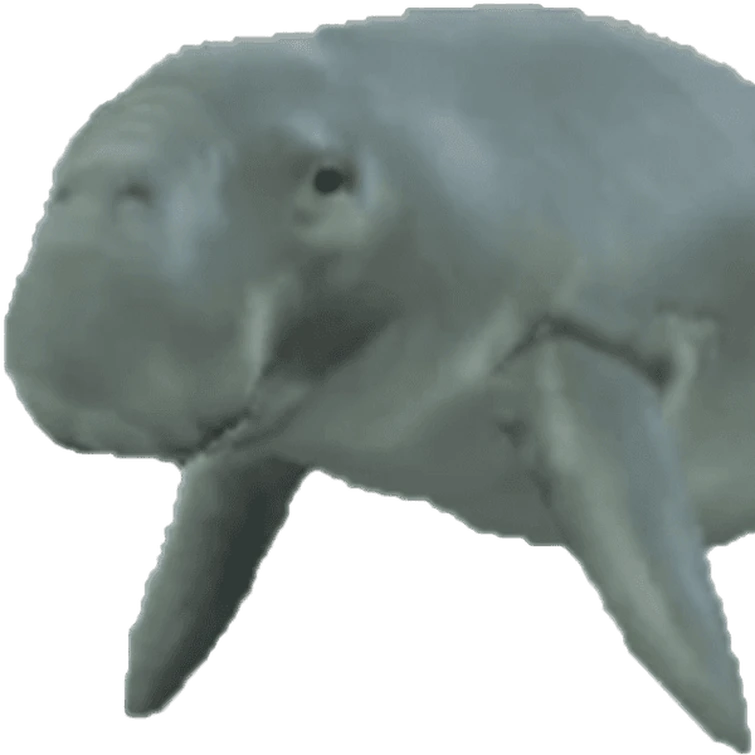 discuss-everything-about-png-phobia-wiki-fandom