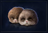 LordmageX's avatar