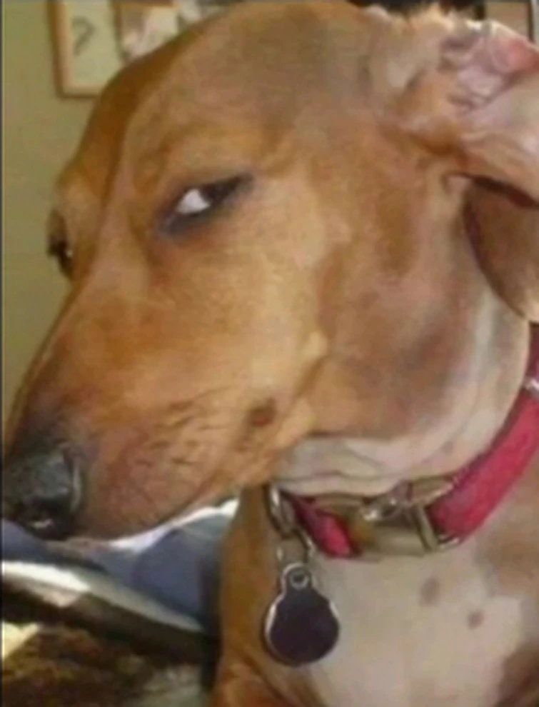 Name me the fruit u always roll Fandom