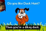 Dikey duck