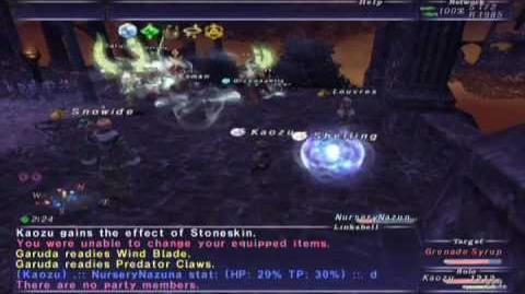 FFXI_Walk_of_Echoes_-_Conflux_2_(Full_Battle)