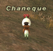 Chaneque - Wikipedia