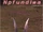 Npfundlwa