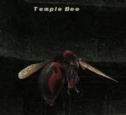 Temple Bee