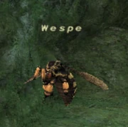 Wespe
