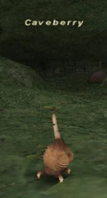 Caveberry