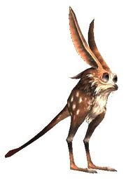 Rabbit