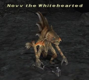 Novv the Whitehearted