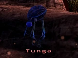 Tunga