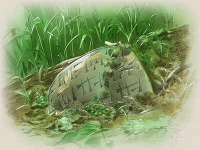 Illustration: Mitsuhiro Arita