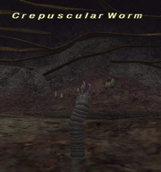 Crepuscular Worm