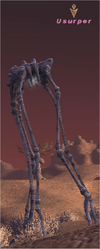 Usurper