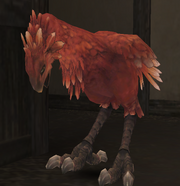 AdultChocoboIll