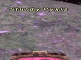 Sturdy Pyxis (NM)