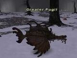 Greater Pugil