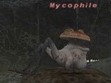 Mycophile