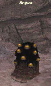 Argus