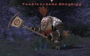 Feeblescheme Bhogbigg