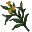 00938.png