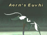 Aern's Euvhi