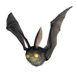 Bat