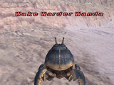 Wake Warder Wanda