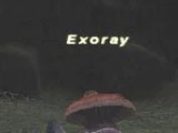 Exoray