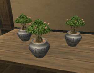 Treesaplings.jpg