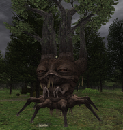 Leshy