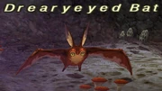 Drearyeyed Bat