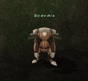 Scavnix