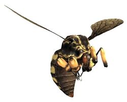 Bee