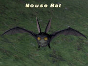 Mouse-Bat