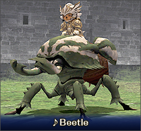 Beetle mount