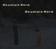 Mountain Worm