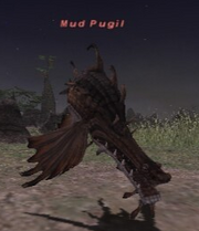 Mud Pugil