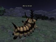 BerryGrub