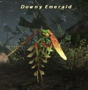 Downy Emerald