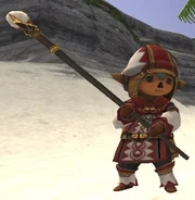A Tarutaru White Mage in full  .