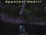 Appetent Umbril