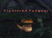 Flustered funguar