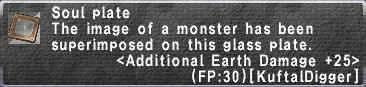 Additional Earth Damage +25