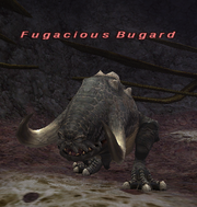 Fugacious Bugard