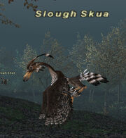 Slough Skua