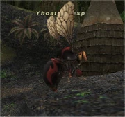 Yhoator Wasp